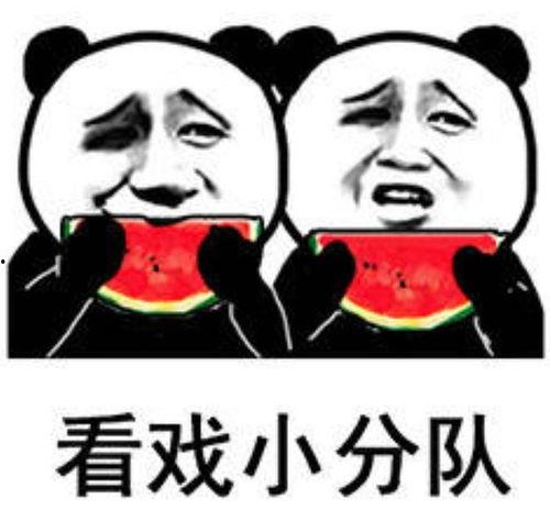 搞笑娱乐吃瓜图片表情包